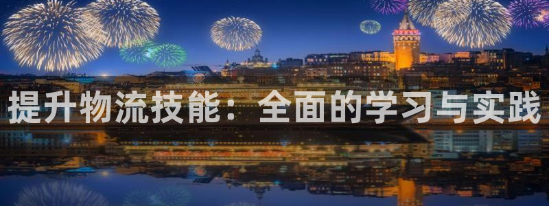 狗子28加拿大是什么：提升物流技能：