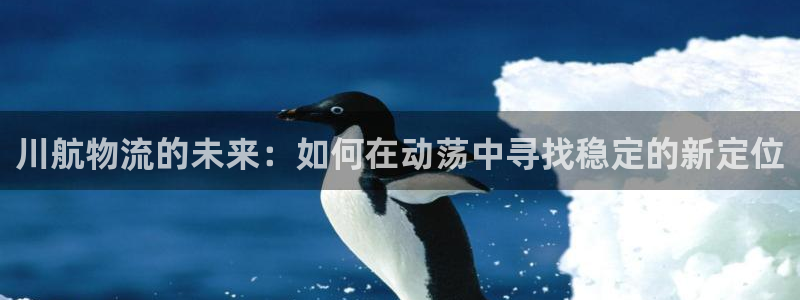 狗子28黑平台吗：川航物流的未来：如