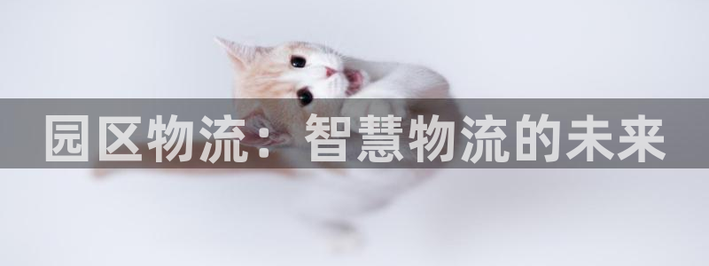 狗子28初始资金密码是什么：园区物流
