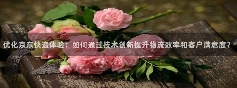 狗子28吧：优化京东快递体验：如何通
