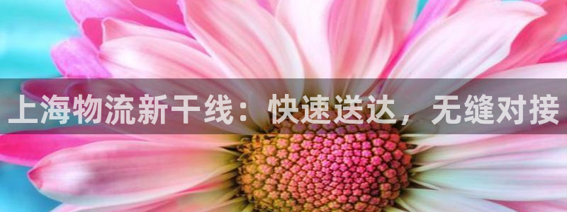 狗子28赌博软件正规吗：上海物流新干