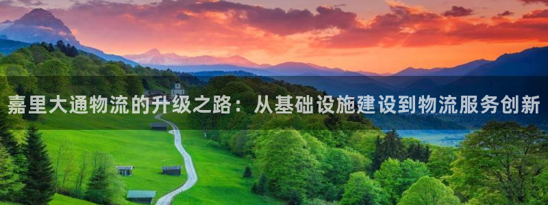 狗子28代理落网：嘉里大通物流的升级