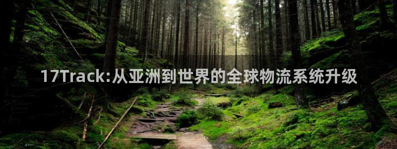 狗子28官网入口南宫：17Track