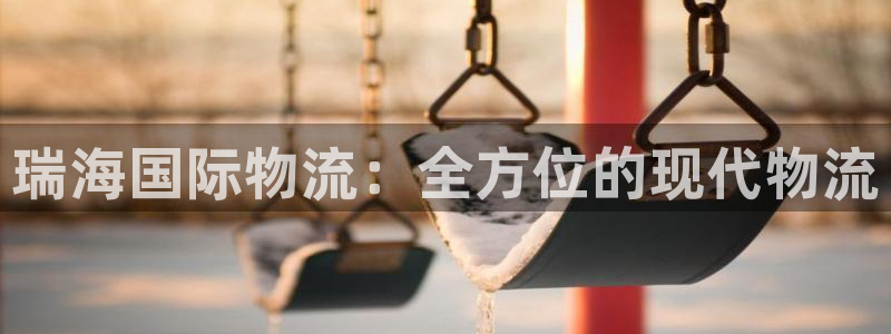狗子28连接：瑞海国际物流：全方位的现代物流