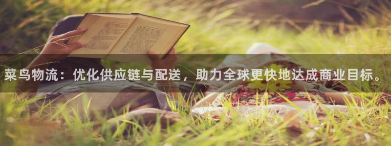 狗子28分分28预测：菜鸟物流：优化