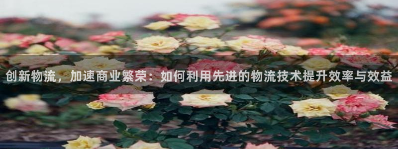 狗子28官网入口pc预测：创新物流，