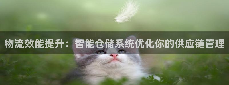 狗子28那个才是充值账号：物流效能提