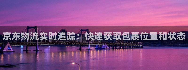狗子28官方网站预测：京东物流实时追