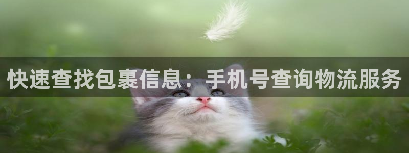 狗子28加拿大是什么：快速查找包裹信