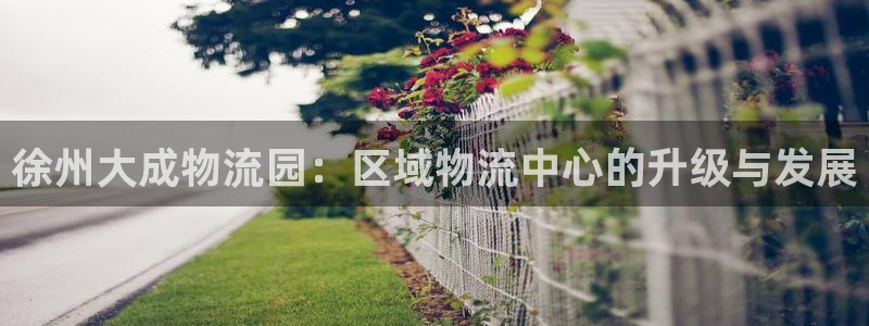 狗子28登录不上咋回事：徐州大成物流