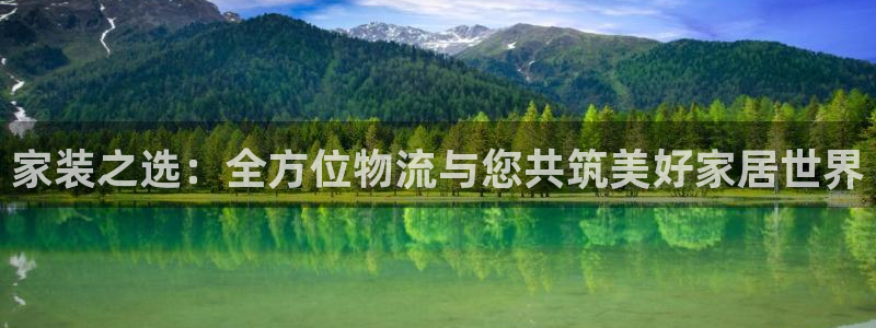 狗子28合法吗：家装之选：全方位物流