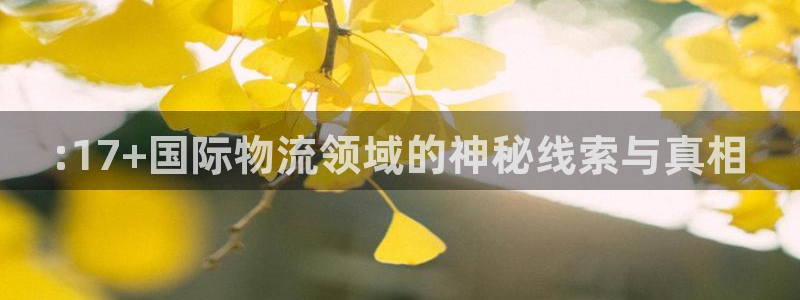 狗子28如何注销账号：:17+国际物