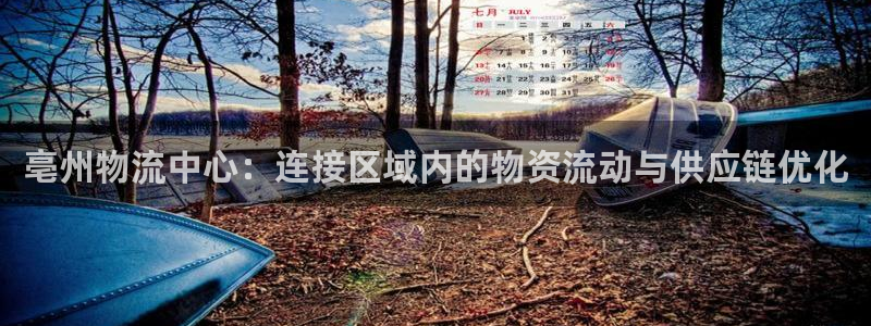 狗子28官网下载加拿大：亳州物流中心