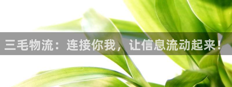 狗子28可以退款吗：三毛物流：连接你