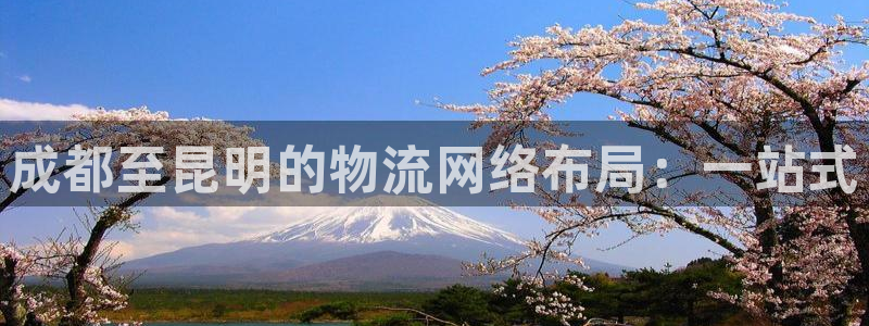 狗子28游戏官网入口