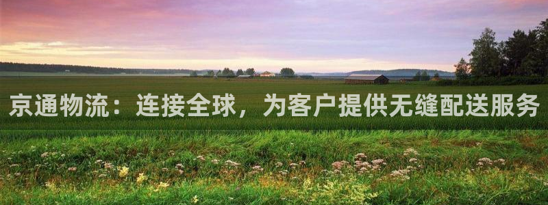 狗子28取保：京通物流：连接全球，为