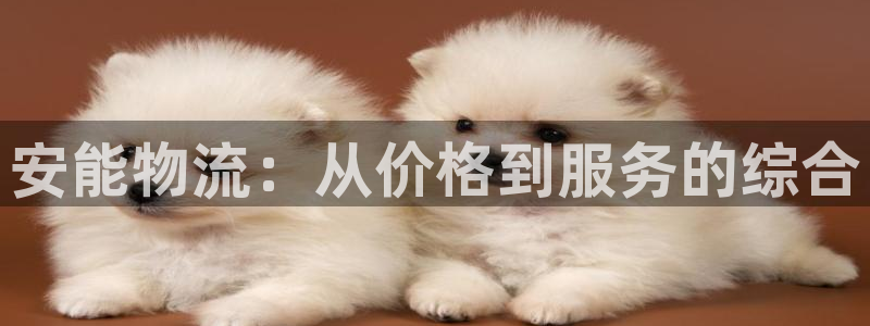 狗子28口戒指是多大：安能物流：从价