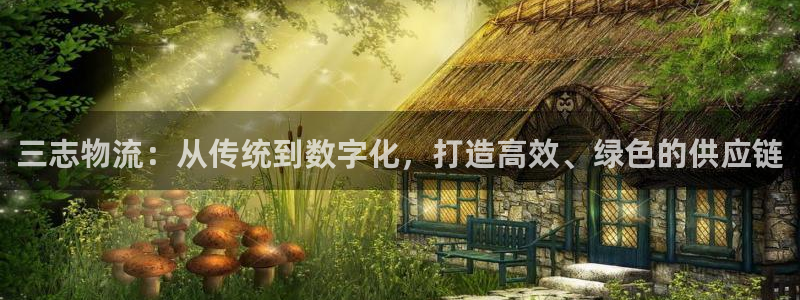 狗子28游戏最新版：三志物流：从传统