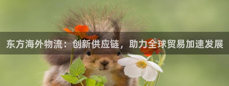 狗子28如何看012路计划：东方海外