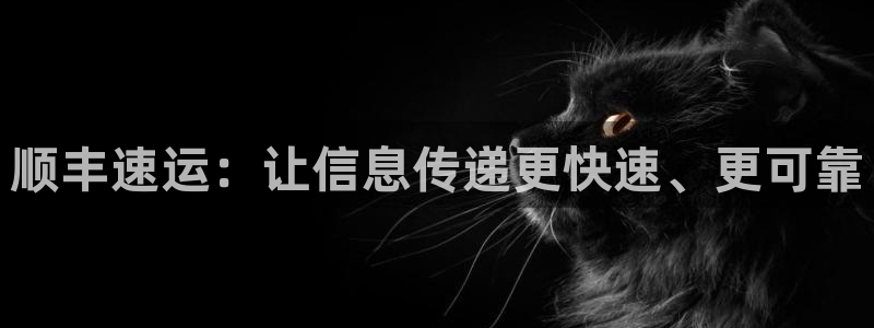 狗子28怎么注册下载：顺丰速运：让信