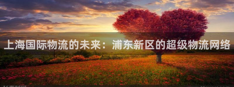 狗子28pc预测：上海国际物流的未来：浦东新区的超级物流网络