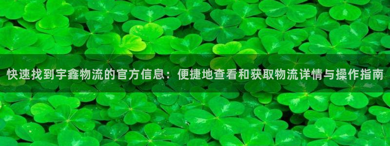 狗子28是干嘛的：快速找到宇鑫物流的