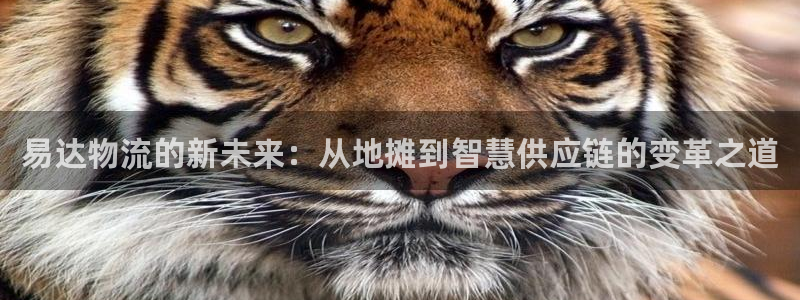 狗子28官网入口官网：易达物流的新未