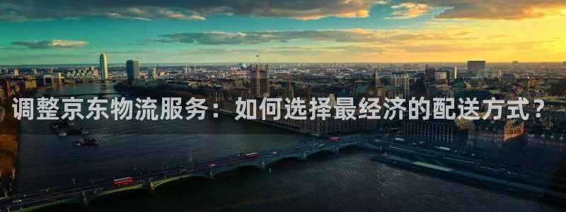 狗子28官网下载链接是什么网站：调整