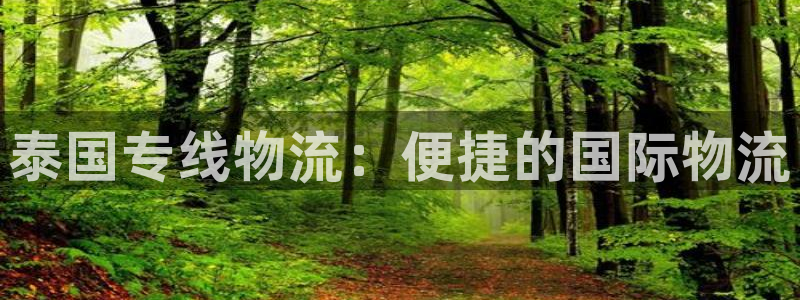 狗子28加拿大：泰国专线物流：便捷的国际物流