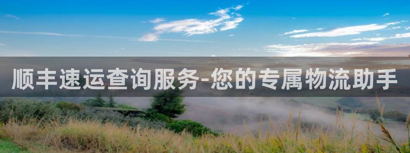 狗子28机器人是什么软件：顺丰速运查