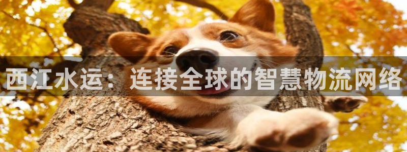 狗子28注册教程：西江水运：连接全球