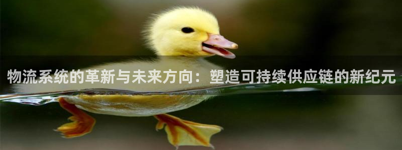 狗子28能退款吗：物流系统的革新与未