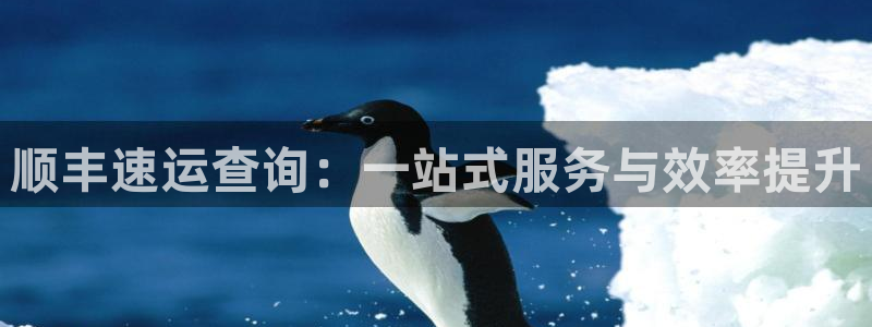 狗子28系统自动保护：顺丰速运查询：