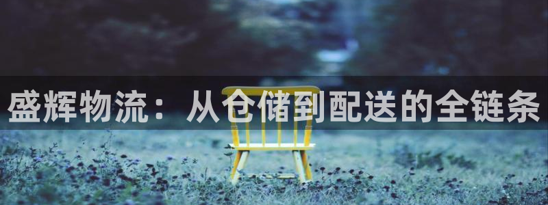 狗子28官网入口2024：盛辉物流：