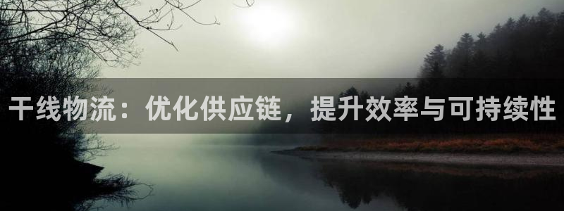 狗子28充值不处理：干线物流：优化供