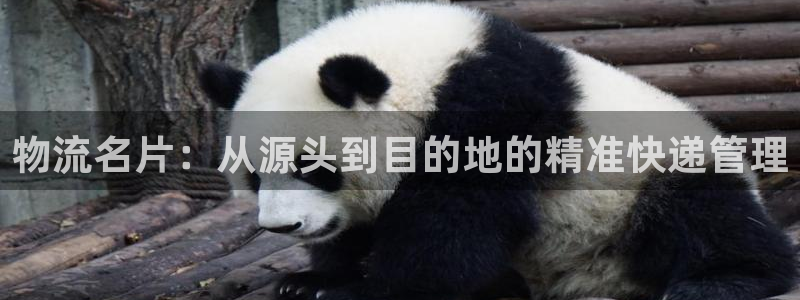 狗子28麻将胡了:物流名片:从源头到