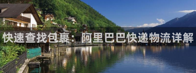 狗子28如何退款：快速查找包裹：阿里