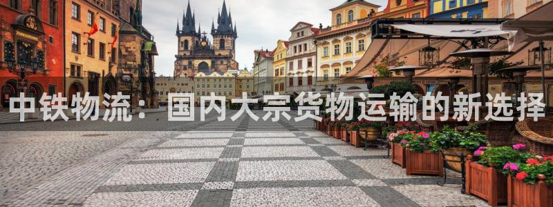 狗子28注册网址百度知道：中铁物流：