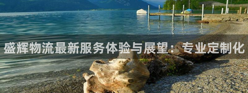 狗子28官网入口官网：盛辉物流最新服