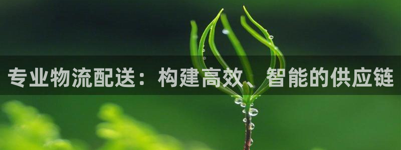 狗子28比特28真实吗：专业物流配送