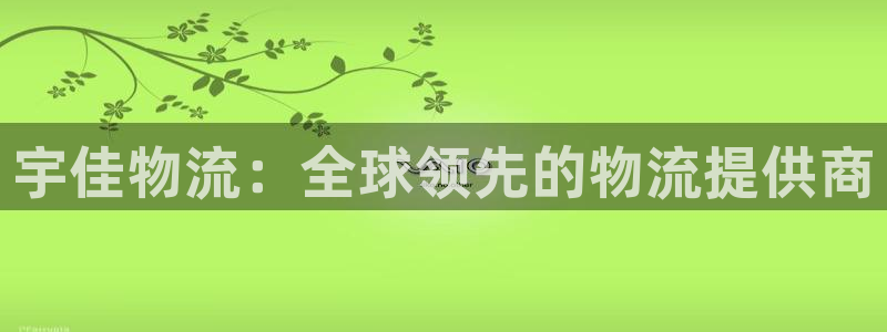 狗子28加拿大最新版:宇佳物流:全球