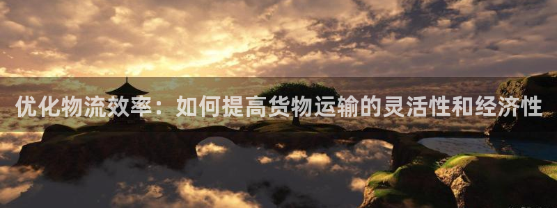 狗子28起来的符号：优化物流效率：如