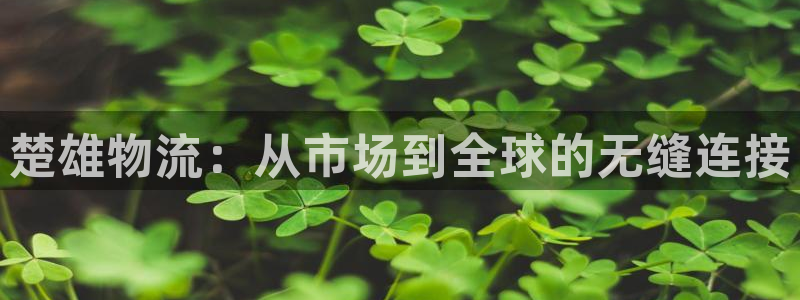 自行车狗子28是什么意思：楚雄物流：