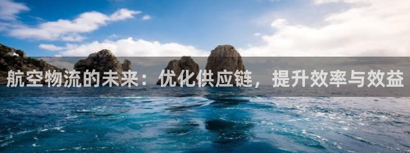 狗子28官方官网版：航空物流的未来：