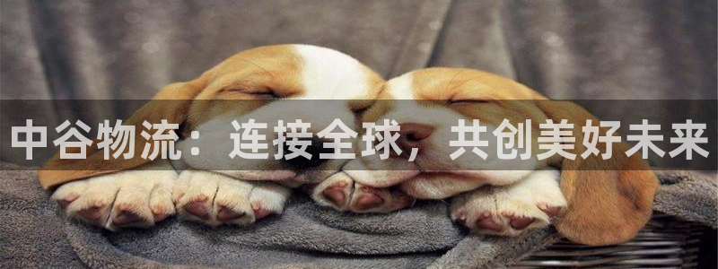 狗子28里的财神