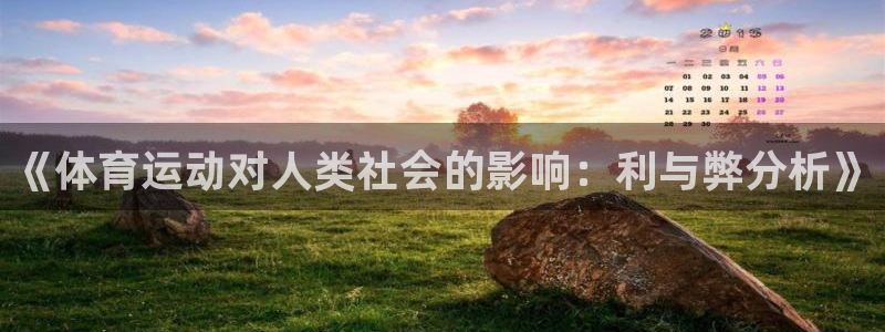 风速体育app下载安装最新版本：《体育运动对人类社会的影响：利与弊分析》