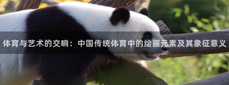 风速体育官网：体育与艺术的交响：中国传统体育中的绘画元素及其象征意义