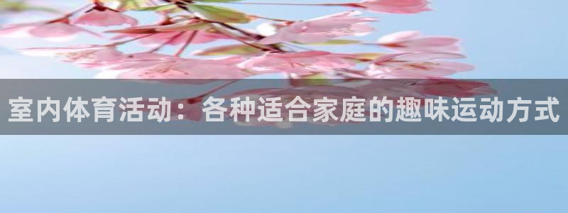 风速体育直播：室内体育活动：各种适合家庭的趣味运动方式