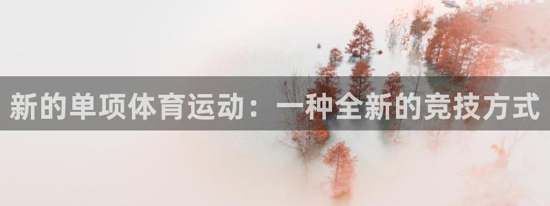 风速体育：新的单项体育运动：一种全新的竞技方式