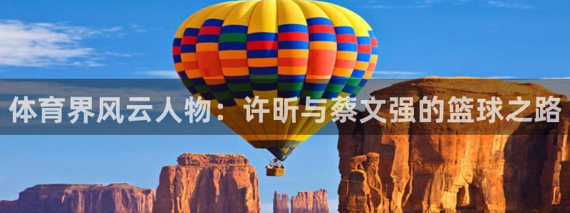 风速体育app官方下载：体育界风云人物：许昕与蔡文强的篮球之路